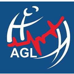 Ardian Global Express LLC